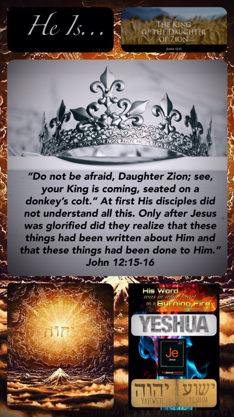Servants & Disciples of Yeshua Jesus Christ Yahweh - Striving for the Crown  Blessed is the man who endures temptation; for when he has been approved,  he will receive the crown of
